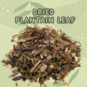 Dried Plantain Leaf: herbs for rabbits and small animals