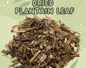 Dried Plantain Leaf: herbs for rabbits and small animals