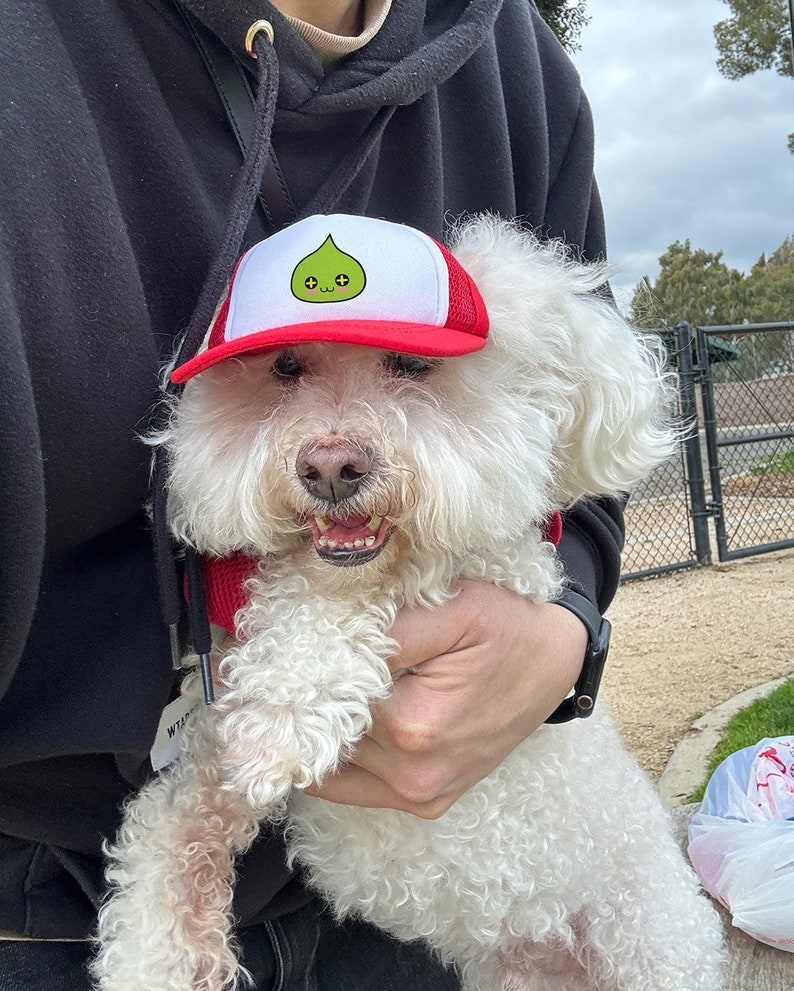 Puede incluir: Un perro blanco y esponjoso que lleva una gorra de b&eacute;isbol roja y blanca con un personaje de dibujos animados verde en la parte delantera. El perro est&aacute; siendo sostenido por una persona.