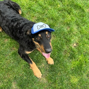 Puede incluir: Un perro negro y marr&oacute;n con una gorra de b&eacute;isbol azul y blanca con el nombre "Luka" en ella. El perro est&aacute; sentado en la hierba verde.