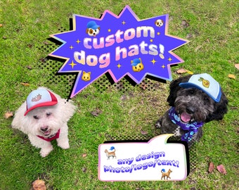 May include: Two dogs wearing custom dog hats. The hats are blue and feature a cartoon design. The text on the speech bubble says "custom dog hats!" and "any design photo/logo/text!"