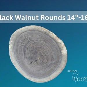 Black walnut- 14"-16” rounds, live edge, kiln dried