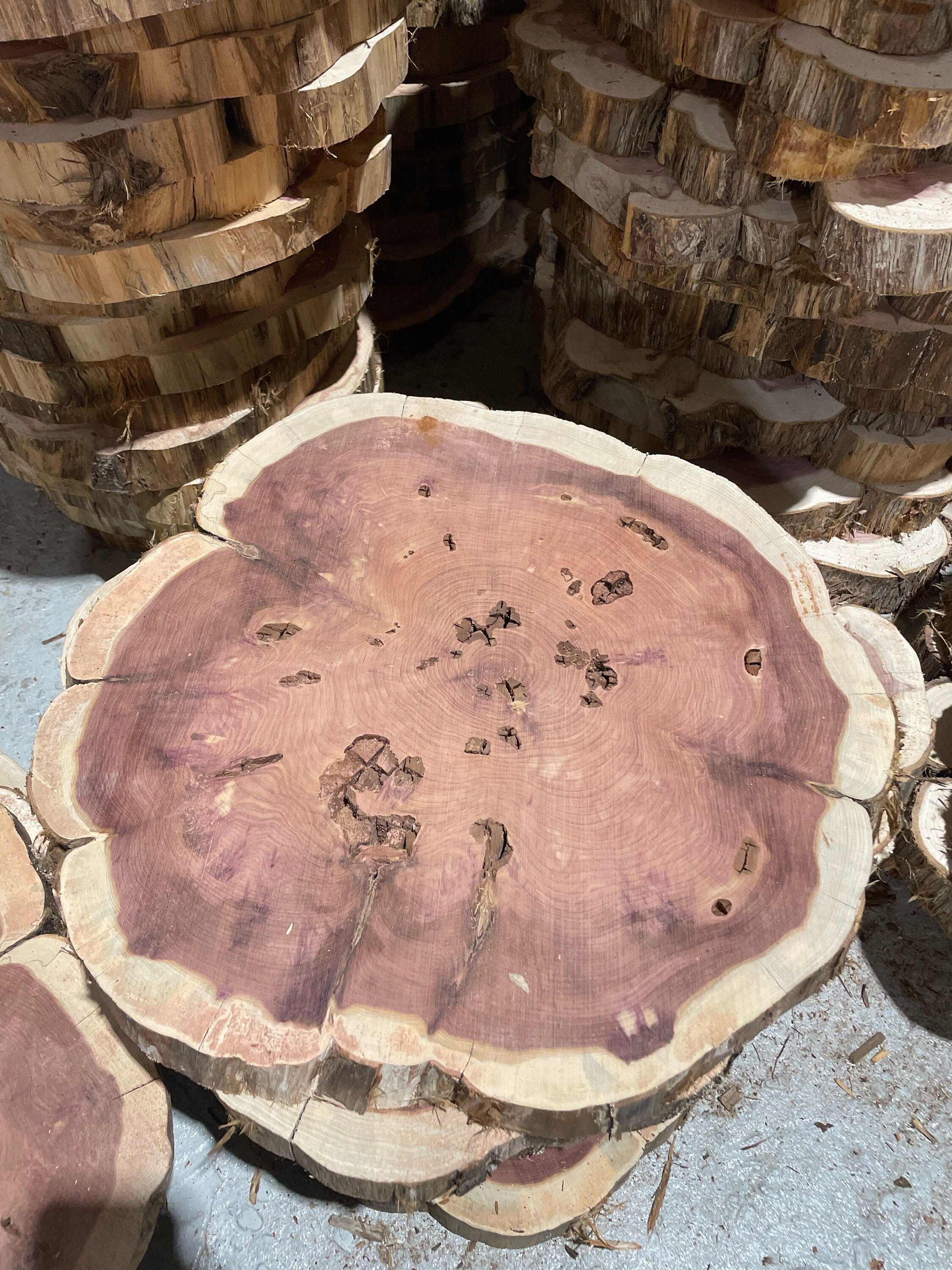 Cedar Rounds 1719 in Diameter Etsy