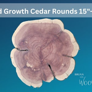 Old Growth Cedar rounds - 15”-17” diameter