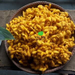 May include: A woven basket filled with golden-yellow silk cocoons. The cocoons are densely packed, creating a textured surface. The image includes a leaf and a small plate with white objects. The text "Chu Silk" is visible.
