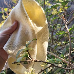 May include: A folded, light yellow silk cloth with a textured surface. The cloth is held in a hand, with a background of green leaves and small white flowers. The cloth has a tag that says "Chun Silk".
