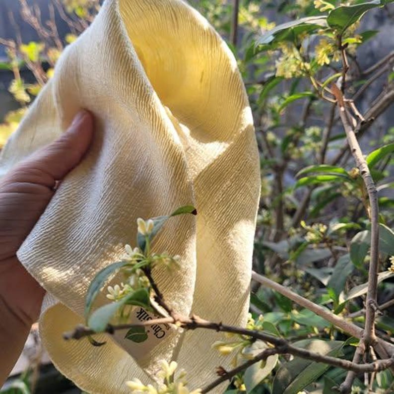 May include: A folded, light yellow silk cloth with a textured surface. The cloth is held in a hand, with a background of green leaves and small white flowers. The cloth has a tag that says "Chun Silk".