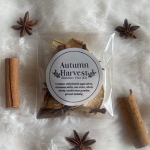 May include: A clear plastic pouch containing an Autumn Harvest Simmer Pot Kit with dehydrated apple slices, cinnamon sticks, star anise, whole cloves, vanilla bean powder, and ground nutmeg, surrounded by loose star anise and cinnamon sticks.
