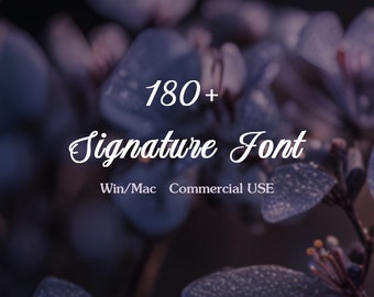 180+ Font Bundle, Handlettered Calligraphy, Cricut, Goodnotes (TTF/OTF) (Digital Download)