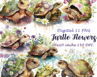 Watercolor Turtle PNG Clipart, Floral Sea Turtle (Digital Download)
