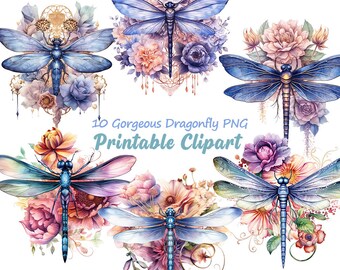 Watercolor Dragonfly Floral Clipart – 10 PNG Files (Digital Download)