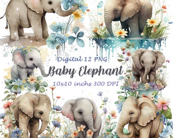 Watercolor Baby Elephant Clipart, Floral Safari Animal PNG (Digital Download)