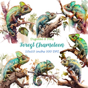 Chameleons Clipart, PNGs, Watercolor Tropical Reptiles, Card Making, Mixed Media, Digital Paper Craft, Watercolor Chameleon, A68