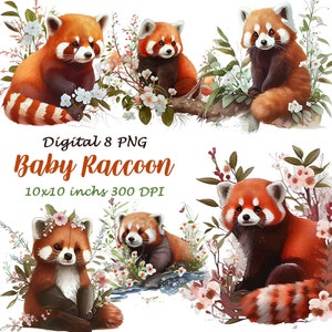 Raccoon Woodland Clipart, Raccoon PNG, Forest Animals, Cute Kawaii Raccoon, Watercolor PNGs Clipart, Raccoon Baby Png, Stickers, A72
