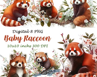 Imágenes prediseñadas de mapaches bebés en acuarela, PNG de animales del bosque (descarga digital)