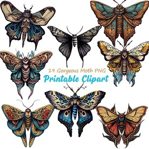 Motte Aquarell Clipart png, Mystische Motten Clipart Bundle, PNG, Aquarell Clipart, Scrapbook, Junk Journal, Papier Handwerk Scrapbooking, A149