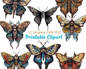 Akvarell clipart-paket med mal, mystisk insekt PNG (digital nedladdning)
