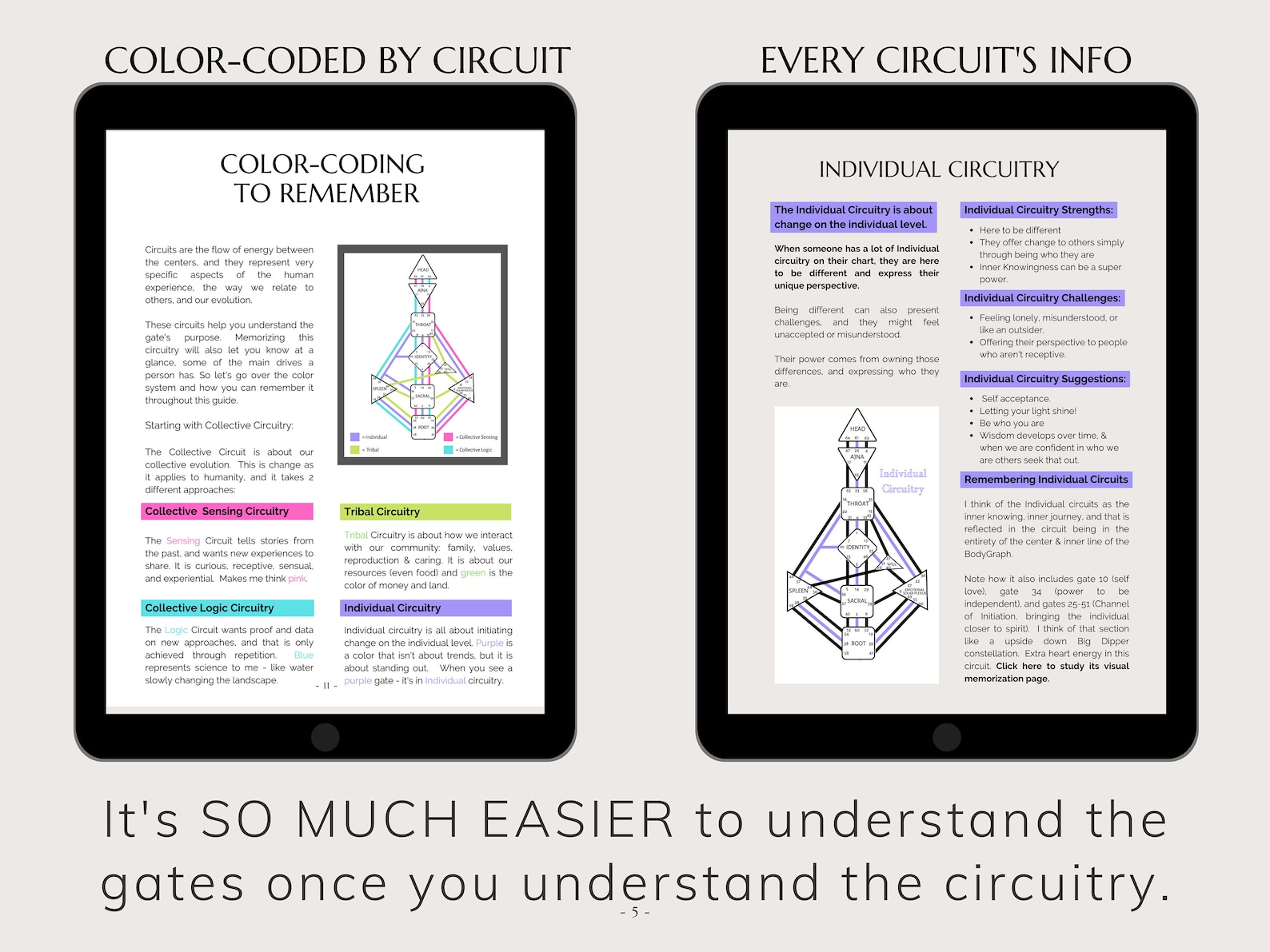 Human Design for Visual Learners, Learn How to Sight-read Human Design ...