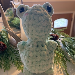 Crocheted Frog Plushie
