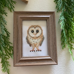 Barn Owl Cross Stitch Picture
