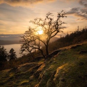 Salt Spring Island Fotopapierdruck | Sonnenuntergang Salt Spring Island Foto | Küsten Wohnzimmer Dekor | Handgemachter Inseldruck eines lokalen Künstlers