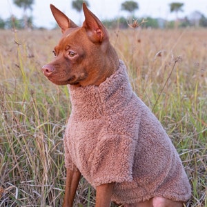 Fleece Dog Pullover: Warm Sherpa Pet Sweater, Light Brown