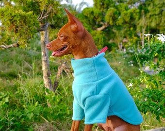 Cozy Fleece Dog Jumper, Warm Winter Dog Clothes, Premium Dog Clothes, Fleece Crew Neck For Dogs, Cozy Dog Sweater, Dog Christmas Gift