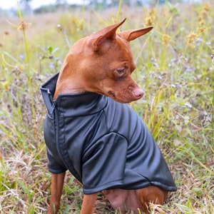 Handmade PU Leather Dog Jacket: Fleece-Lined Winter Outfit