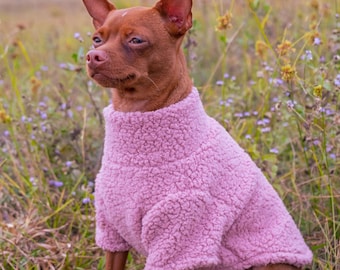 Cozy Fleece Dog Jumper, Warm Winter Dog Clothes, Premium Dog Clothes, Fleece Crew Neck For Dogs, Cozy Dog Sweater, Dog Christmas Gift