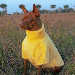 Yellow Fleece Dog Pullover: Warm Sherpa Pet Sweater