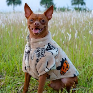 Pet Patterns Round-Neck Fleece Sweater -Beige Halloween, Warm Dog Apparel,Fleece Sweater For Small Dogs,Cozy Dog Sweater,Soft Dog Sweater