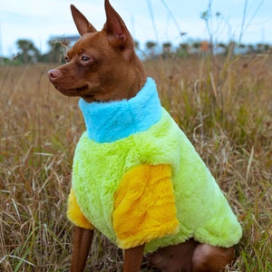 Colorful Fleece Pet Sweater, Warm Winter Dog Clothes, Fleece Crew Neck For Dogs,  Premium Dog Clothes