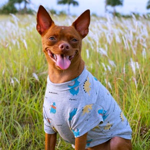 Soft Cotton Pet T-Shirt: Customizable Fit for Sensitive Skin