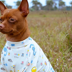 Premium T-Shirts for pet, Soft and 4-Way Stretch French Terry  T-Shirts for Sensitive Skin, Customizable-sized shirt, Shirt for dog and cat
