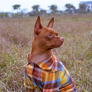 Plaid Pattern Shirt for Pets,Comfortable Airy Summer Pet Apparel, Organic Dog Clothes, Vibrant Summer Pet Apparel, Shirt For Dog And Cat