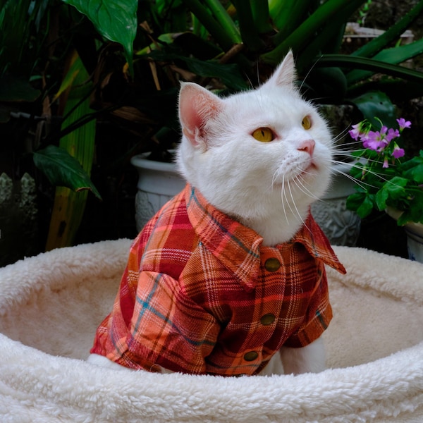 Handgefertigtes Flanell-Katzenhemd aus natürlicher Baumwolle - Leichter als normales Flanell, weich, sanft und warm, ohne individuelle Anpassung