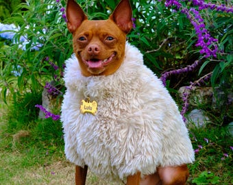 May include: A small brown dog with pointed ears wearing a fluffy, cream-colored faux fur cape. The dog has a gold-toned bone-shaped tag hanging from its collar with the name Lulu engraved on it. The dog is sitting upright with its mouth open.