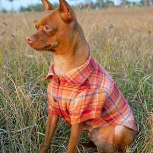 Plaid Pattern Shirt for Pets,Comfortable Airy Summer Pet Apparel, Organic Dog Clothes, Vibrant Summer Pet Apparel, Shirt For Dog And Cat