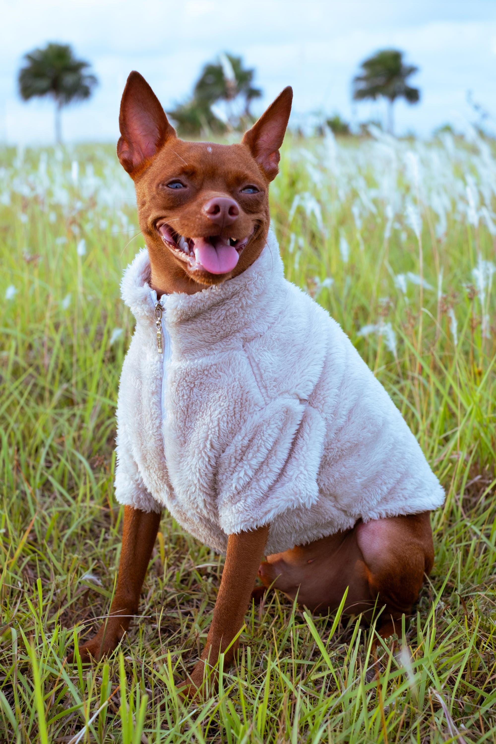 Premium beige faux fleece pet sweater with zip-up collar & double-layer thickness for warmth. Free size customization available.