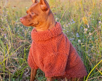 Thick brown-orange pullover designed for pets, Warm Fleece Pullover Sweater for Dogs , Warm Dog Apparel.