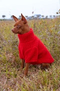 Thick red pullover designed for pets,Double-layer Thicken Sweater, Warm Winter Dog Clothes, Fleece Crew Neck For Dogs, Dog Christmas Gift product logo