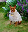 Handmade Ivory Sherpa Dog Sweater, Soft Thick Long Pile Luxury Fleece, Warm & Light Stretch, Free Metal Name Tag, Custom Fit product logo