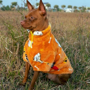 A cozy pullover sweater with adorable halloween patterns for your pet, Warm Fleece Pullover Sweater for Dogs , Warm Dog Apparel.