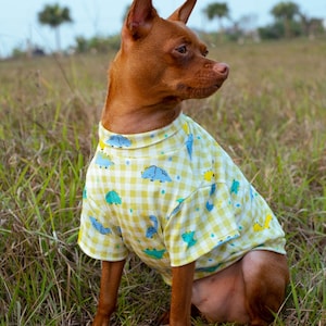 Camisetas Premium para mascotas, Camisetas de Algodón Suave y Bielástico para Pieles Sensibles, Camiseta de Talla Personalizable, Camiseta para Perro y Gato