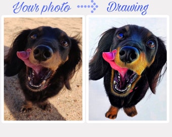 Custom Pet Drawing,Dog charcoal portrait, Custom Pet Portrait, Photo to Sketch,Pencil Sketch,Pet , Pet Love, Dog art