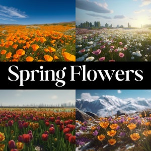 May include: A collage of four images showcasing vibrant spring flowers in various landscapes. The top left image features a field of orange poppies under a blue sky. The top right image shows a field of white and pink wildflowers with a sunset in the background. The bottom left image displays a field of red, yellow, and orange tulips. The bottom right image shows a field of orange and purple wildflowers in a mountainous landscape.
