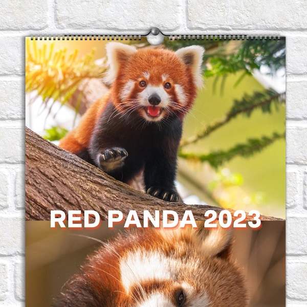 Red Pandas Calendar Etsy