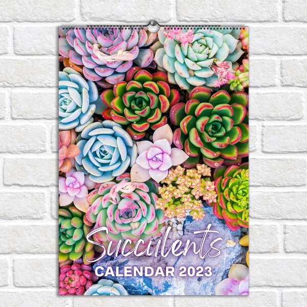 2025 Succulents Etsy