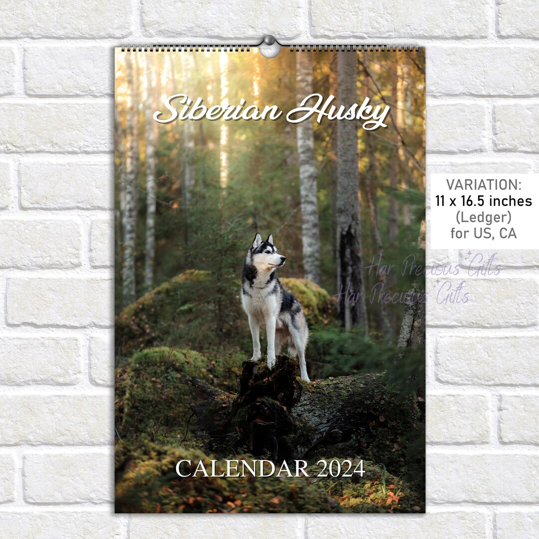 Siberian Husky, Calendar 2024, 13 Premium Siberian Husky Photos, Wall