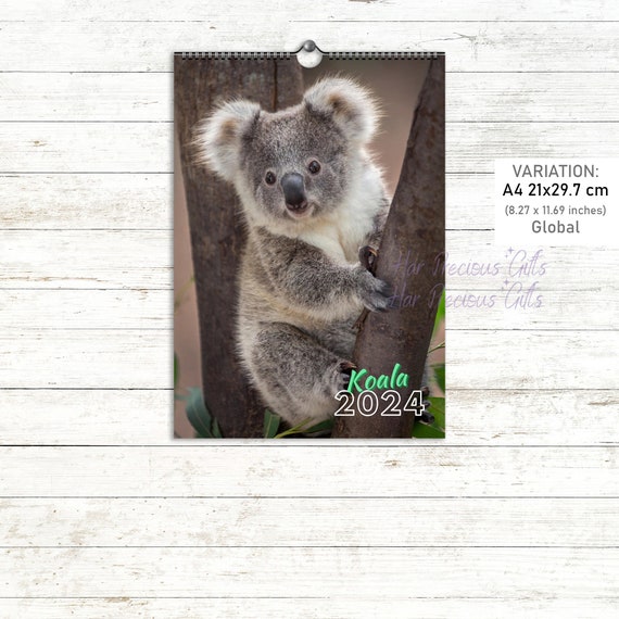 Buy Koala Calendar 2024, Premium Koala Photos Each Month, Wall Calendar,  Living Room, Starts at Monday or Sunday, Animal Calendar 2024 Online in  India - Etsy